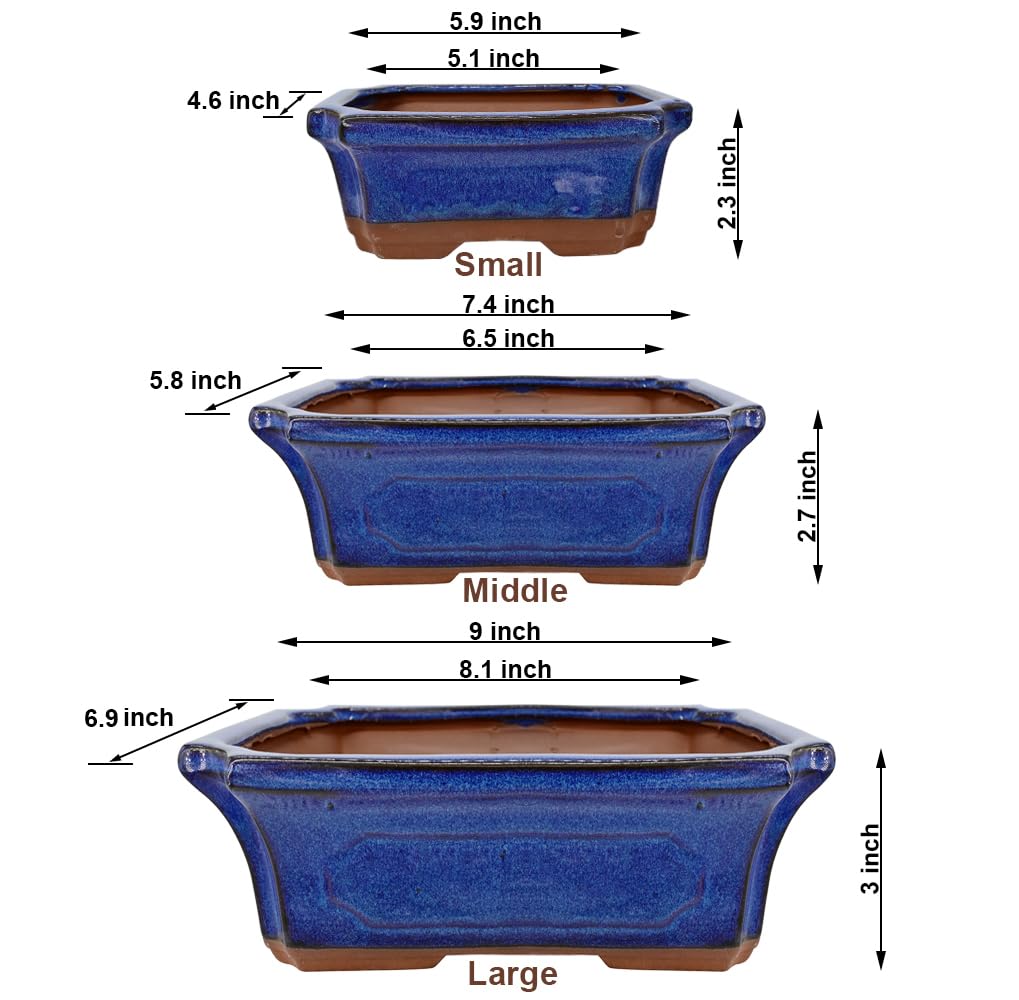 MUZHI bonsai pot blue glazed 7in ideal for small trees and succulents.