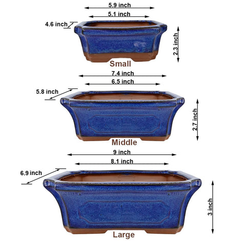 MUZHI bonsai pot blue glazed 7in ideal for small trees and succulents.