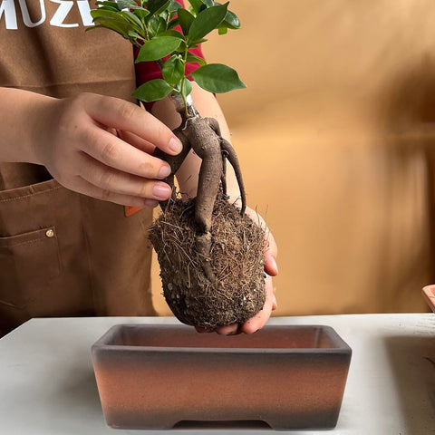 MUZHI pot with drainage holes prevents waterlogging and pooling.