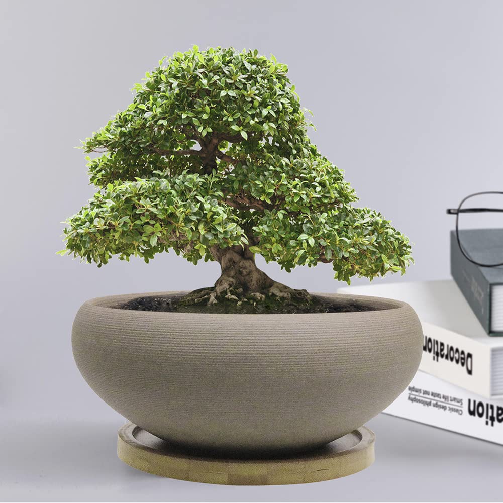MUZHI bonsai pot with drainage hole and mesh pad.