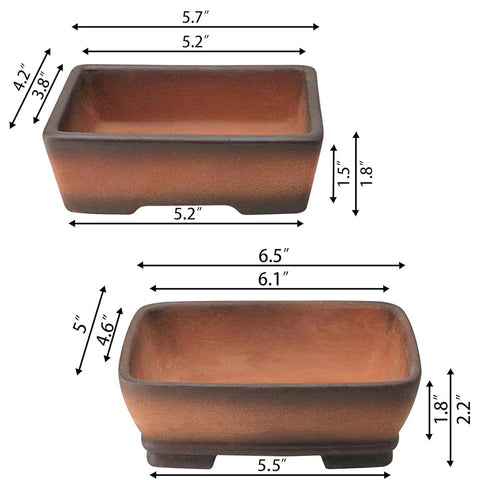 MUZHI 5-inch gradient pot ideal for small succulents and herbs.
