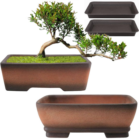 MUZHI gradient terracotta bonsai pot for stylish plant displays and healthy roots.