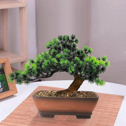 MUZHI raised feet improve base airflow and pot longevity.