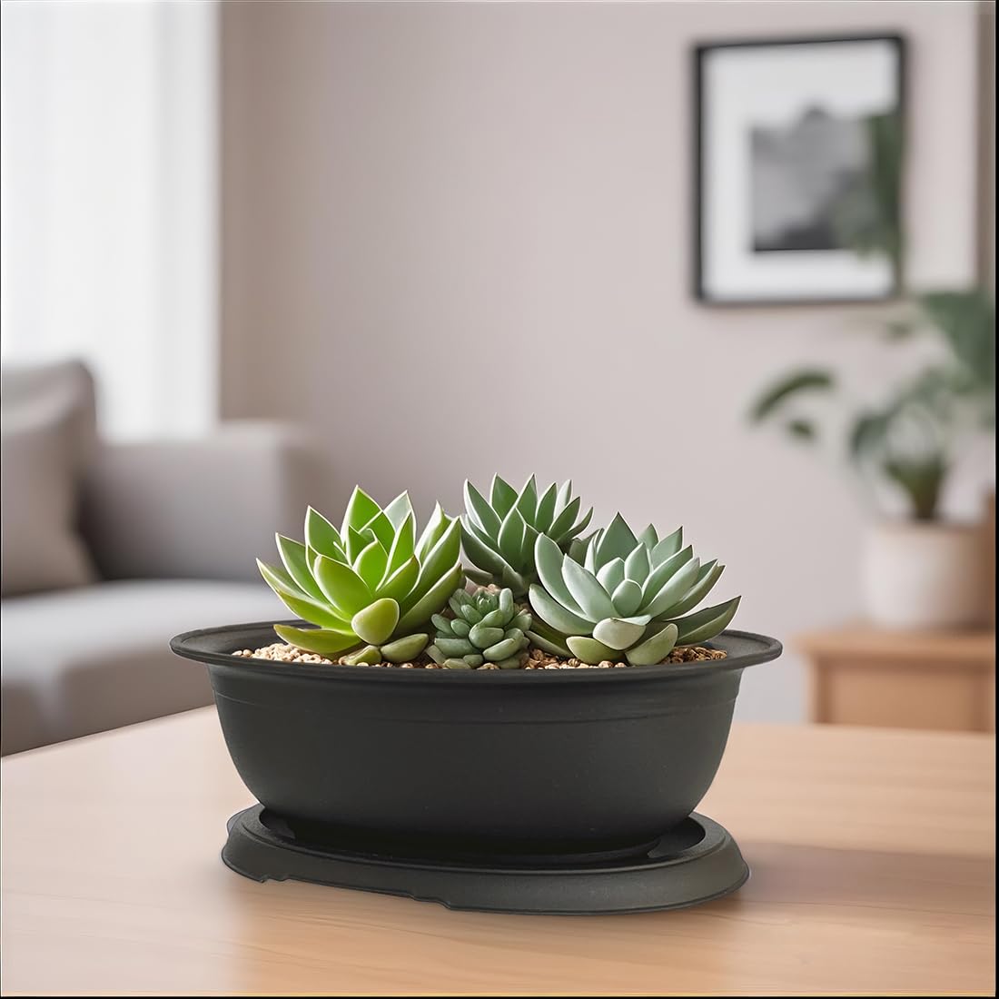 MUZHI matte oval bonsai pots ready for organized, gift-ready arrangements