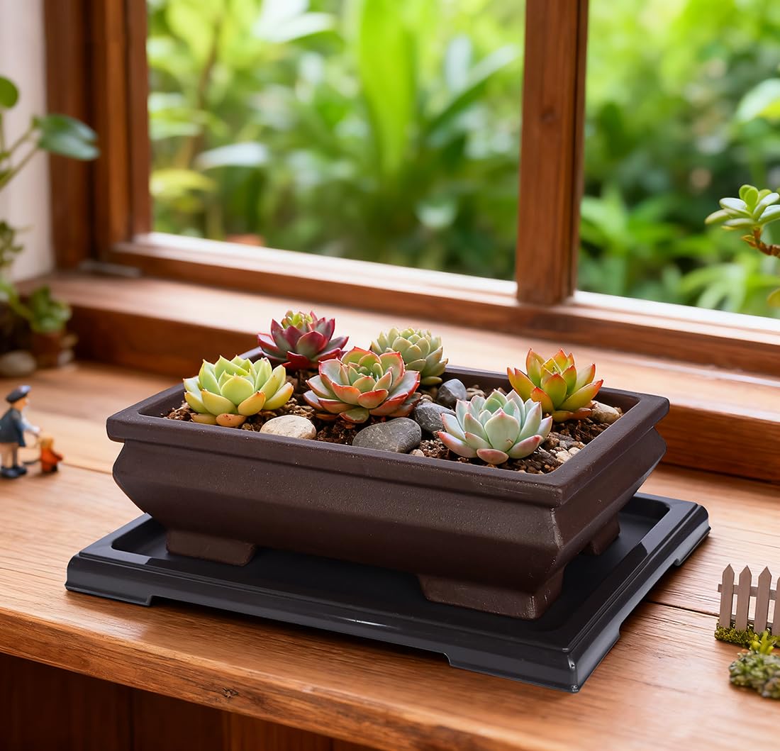 MUZHI drainage and wiring holes help you train bonsai with proper drainage.