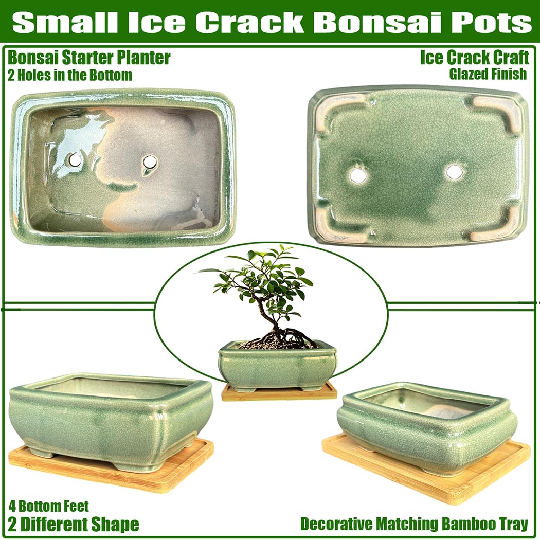 MUZHI ice-crack glaze bonsai pot highlights ceramic texture and elegance