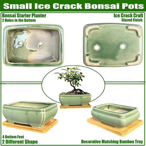 MUZHI ice-crack glaze bonsai pot highlights ceramic texture and elegance
