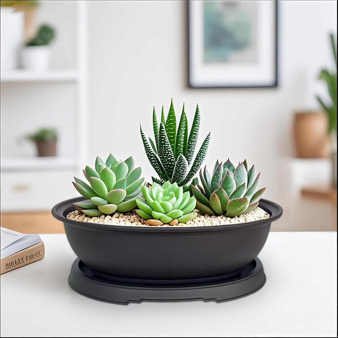 MUZHI multi-use pots suit succulents, jade, and bonsai.