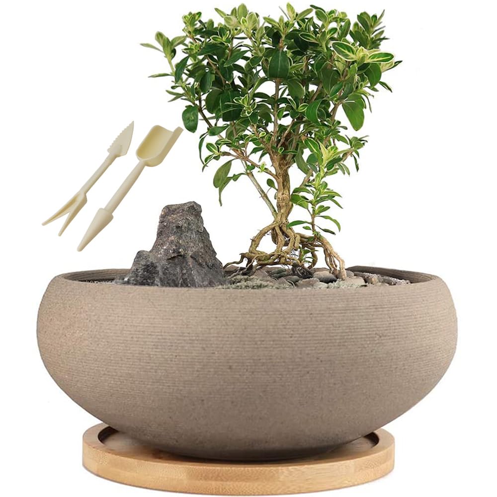 MUZHI round unglazed bonsai pot with bamboo tray for elegant indoor displays.