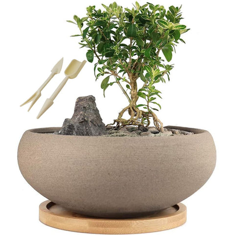 MUZHI round unglazed bonsai pot with bamboo tray for elegant indoor displays.