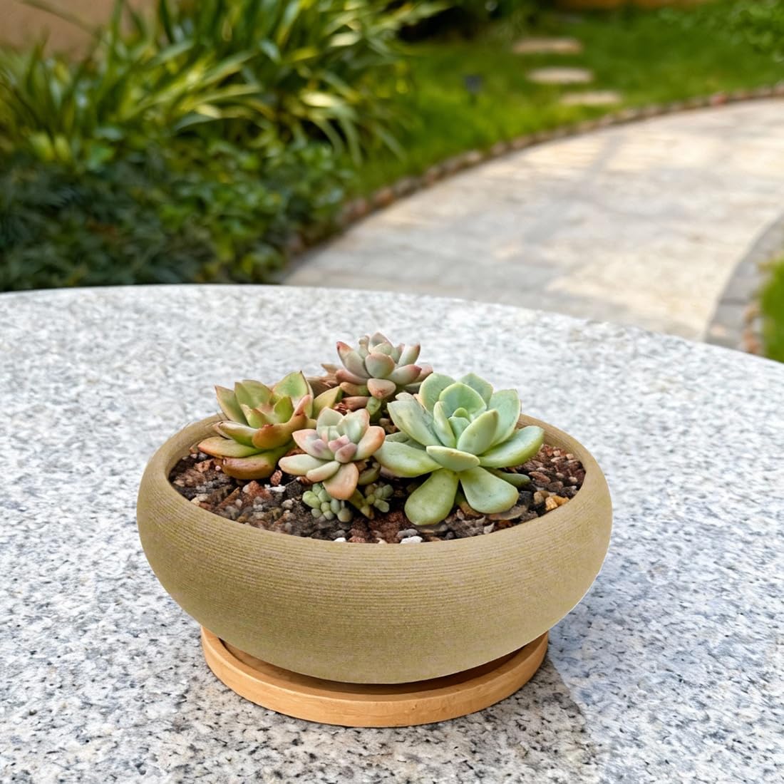 MUZHI versatile bonsai and succulent display for home decor