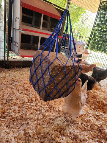 Muzzys blue chicken coop seed block holder showing capacity