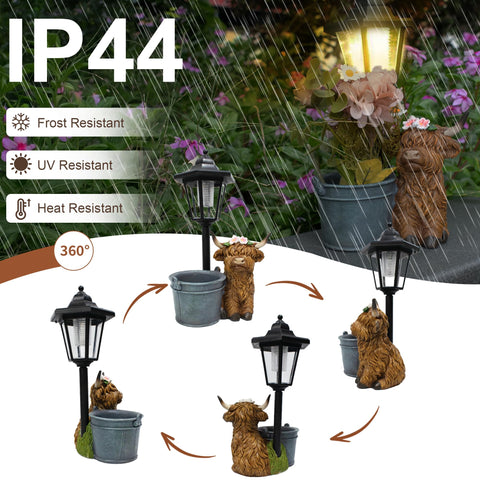 Muzzysse Highland Cow statue withstands weather and sun with durable resin.
