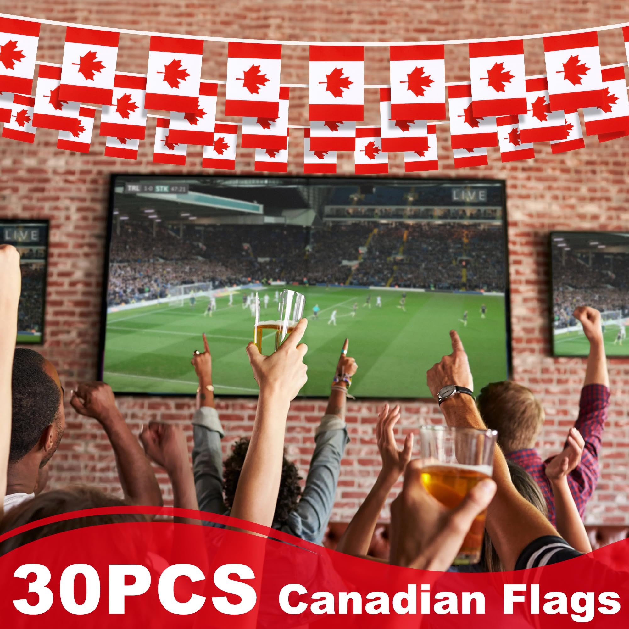 MVPRING Canada flag banner porch decor ideal for home celebrations.