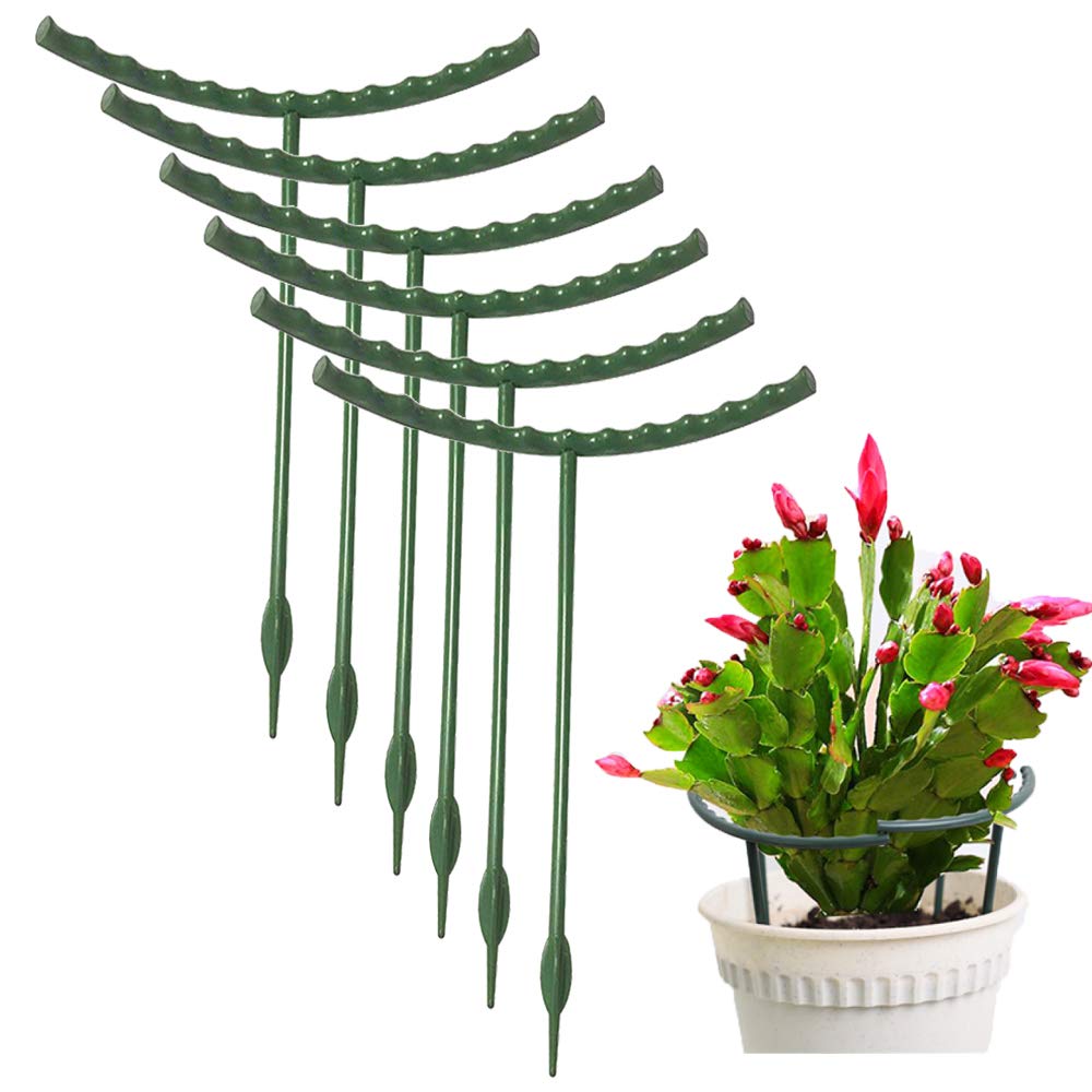 Mwellewm half-round plant stake pack keeps small pots upright and tidy