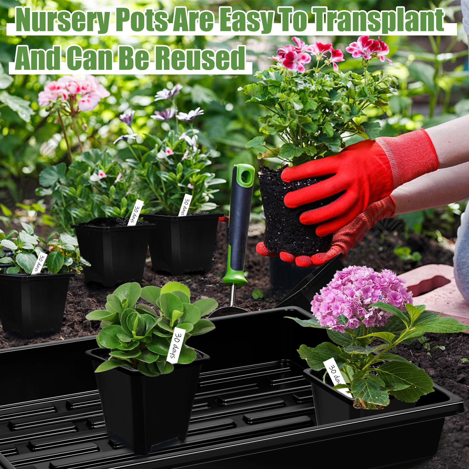 mwellewm microgreens-growing-tray-kit for compact indoor harvests.
