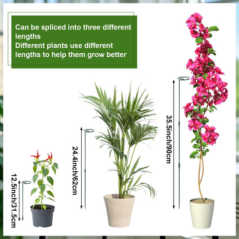 Mwellewm 30pc plant clips arranged with stakes for secure attachment.