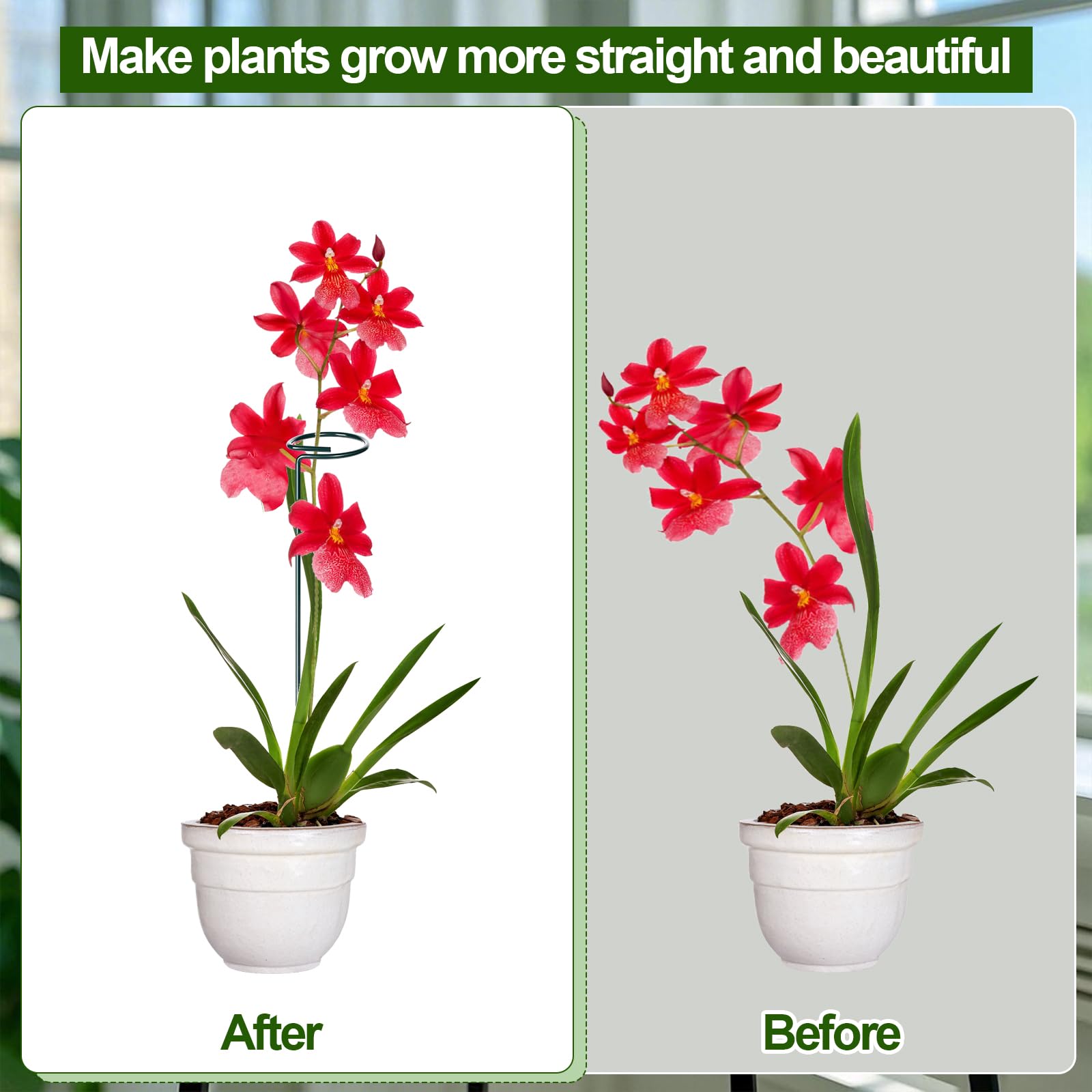 Mwellewm 25in stake demonstrates sturdy three-section design for tall indoor plants.