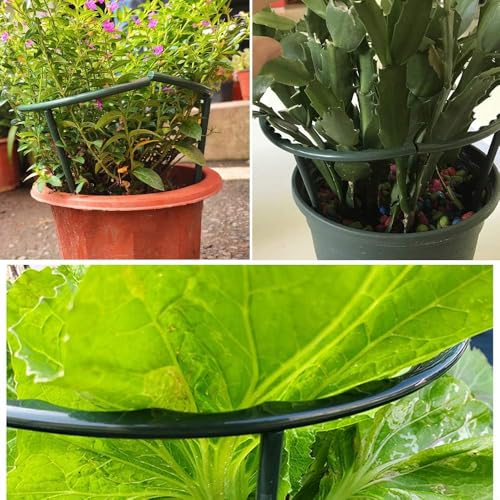 Mwellewm plastic cage support for plants keeps stems tidy.