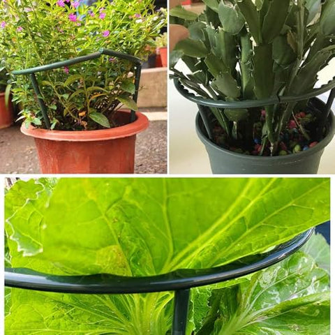 Mwellewm plastic cage support for plants keeps stems tidy.