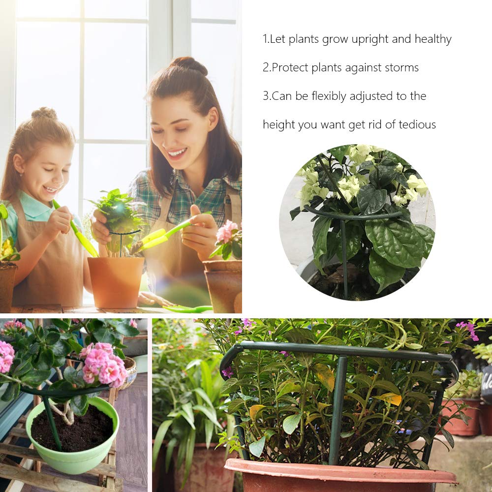 Mwellewm small-pot plant guide for neat, upright growth.