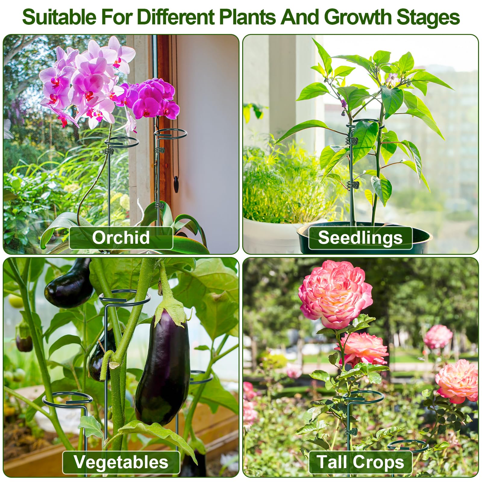 Mwellewm six-set kit laid out for versatile plant support configurations.