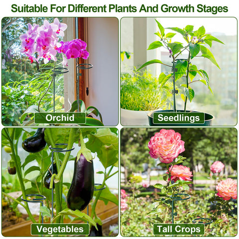 Mwellewm six-set kit laid out for versatile plant support configurations.