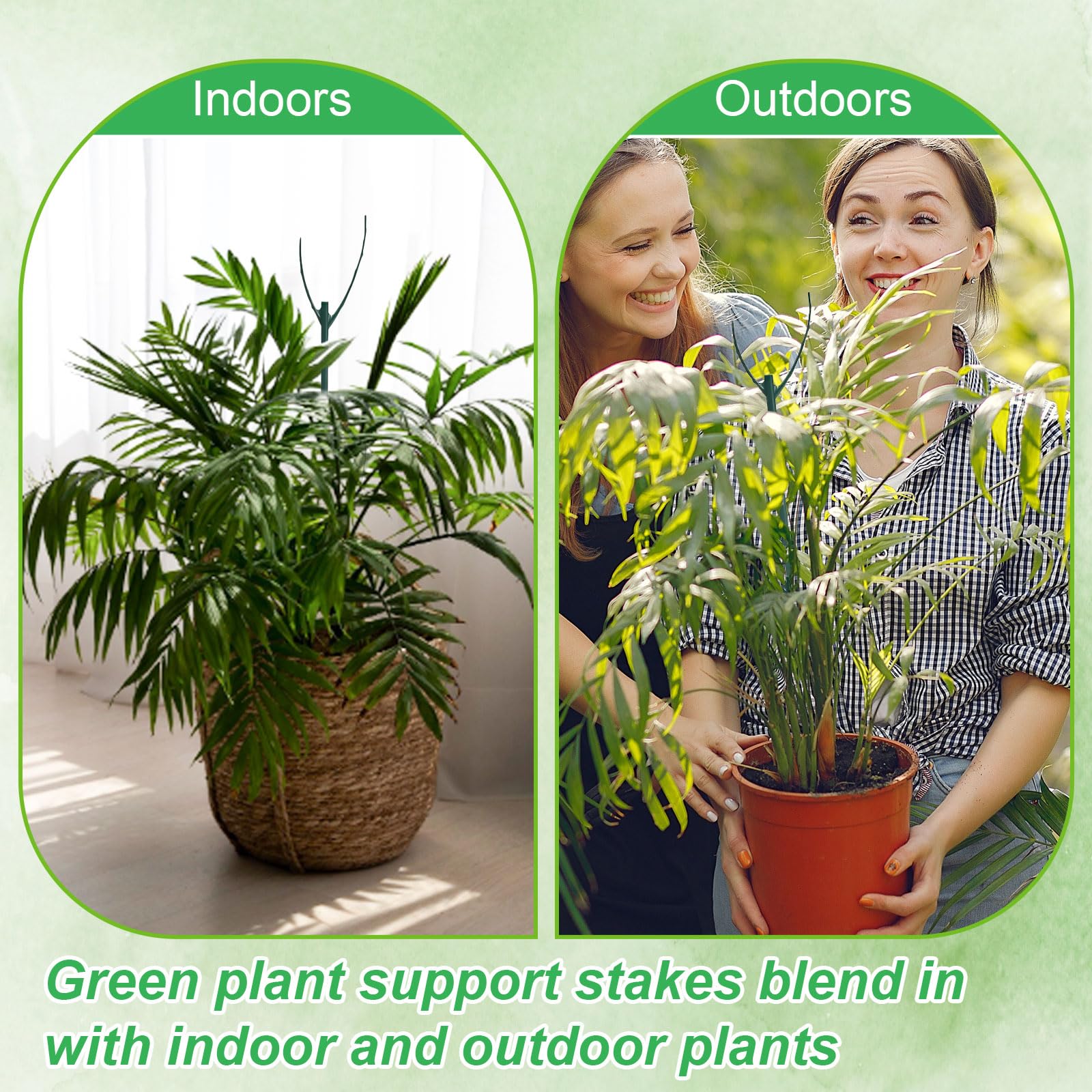 MXCOIRTP monstera support demo showing sturdy indoor plant care.
