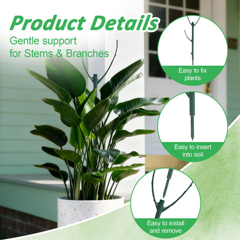 MXCOIRTP plant velcro strap secures stakes quickly and reusable.