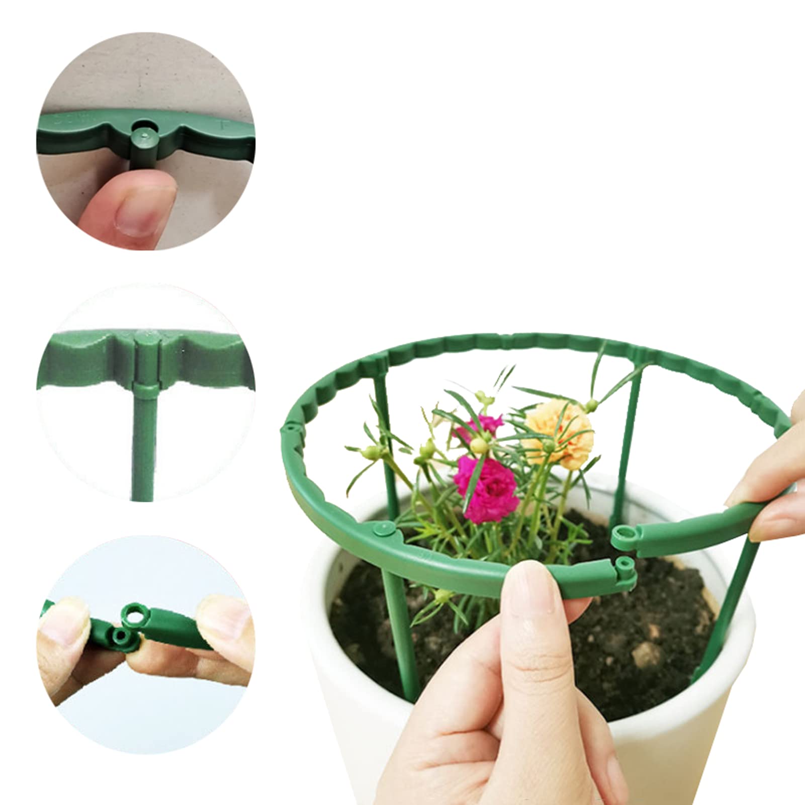 MXHHR easy-installation plant support demonstrates quick setup and versatile positioning.