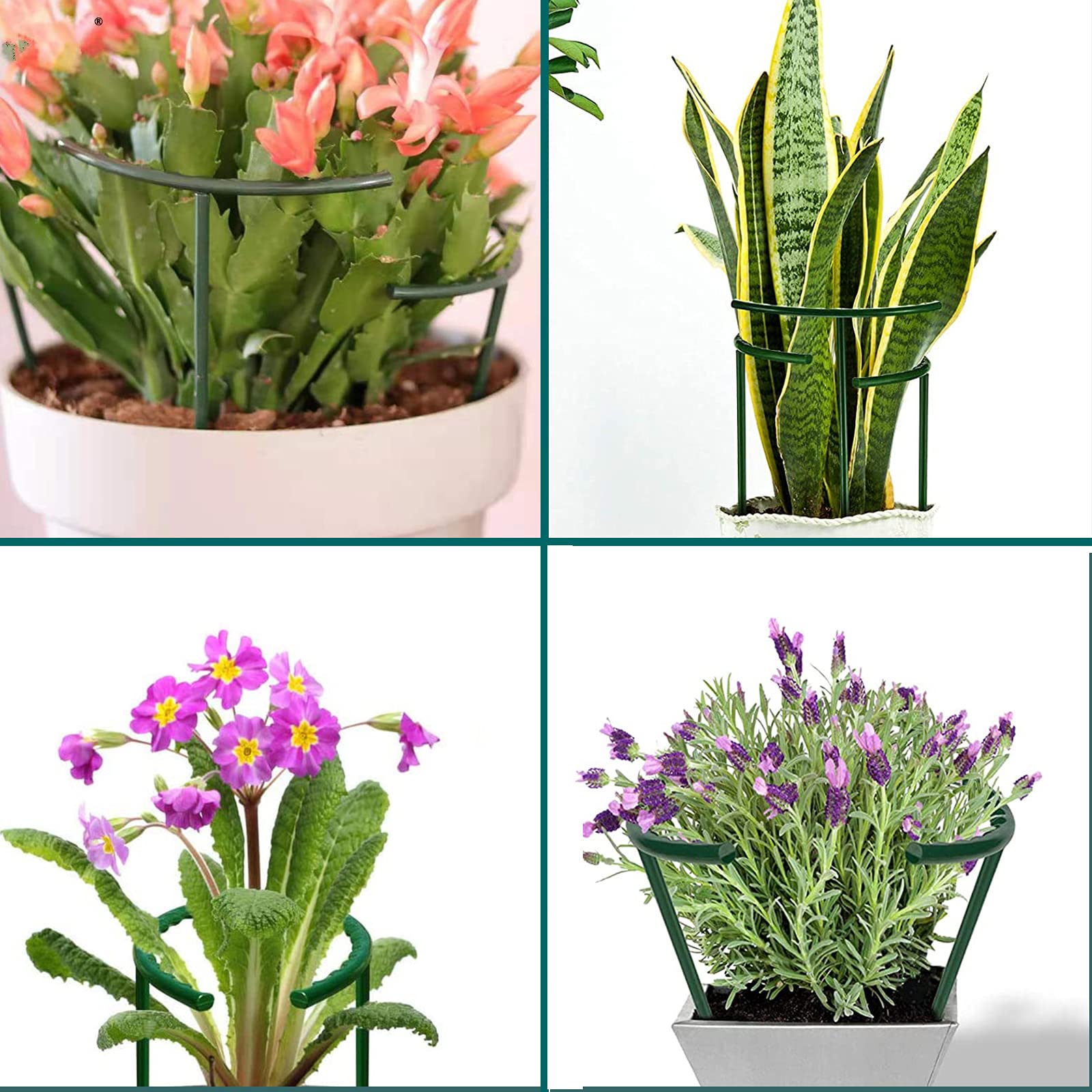MXHHR potted plant stake 6in provides discreet, reliable growth support for compact indoor gardens.