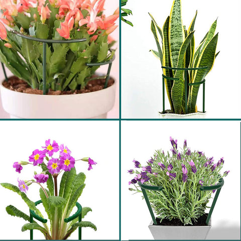 MXHHR potted plant stake 6in provides discreet, reliable growth support for compact indoor gardens.