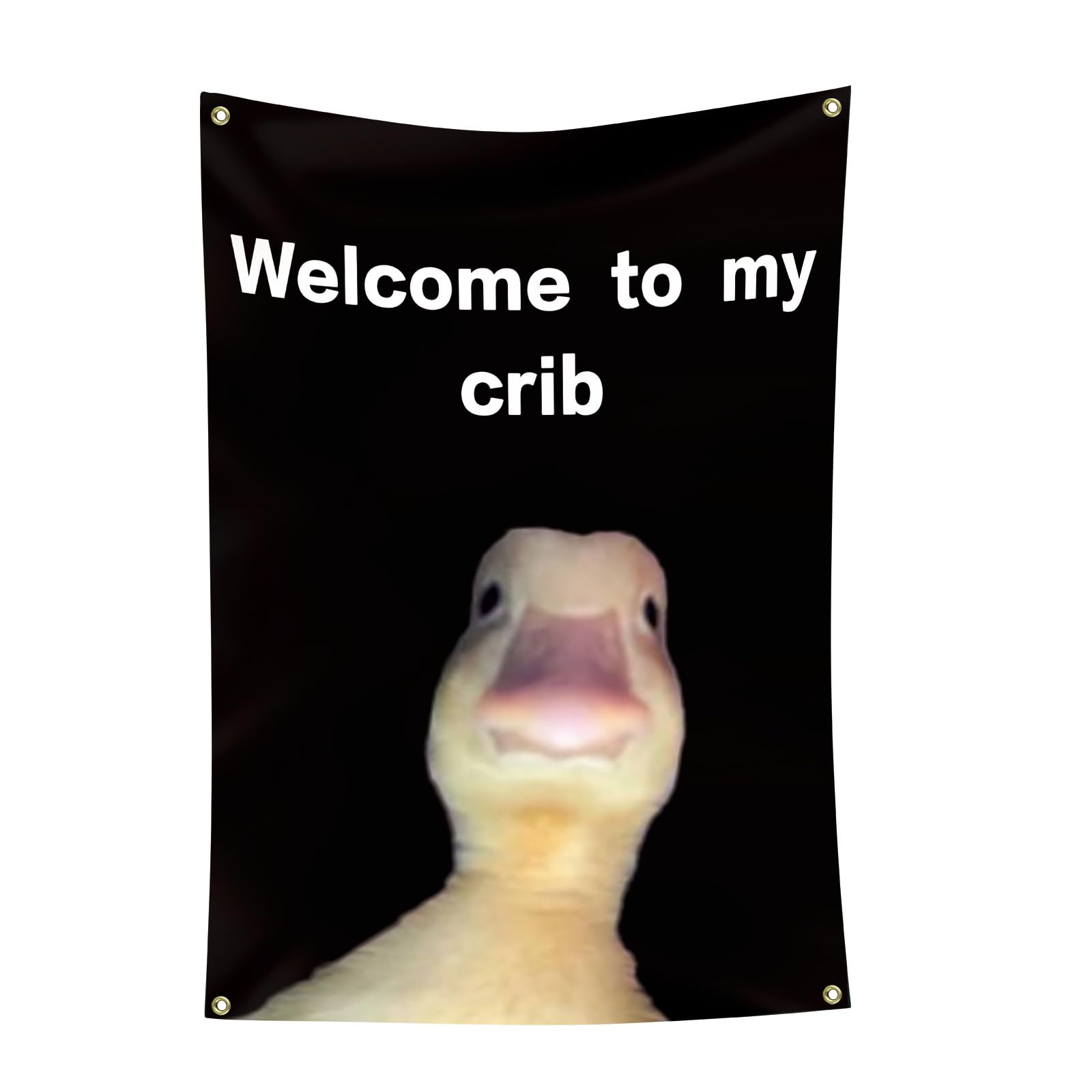 My Crib Flag 2x3 feet banner for room decor and party vibes.