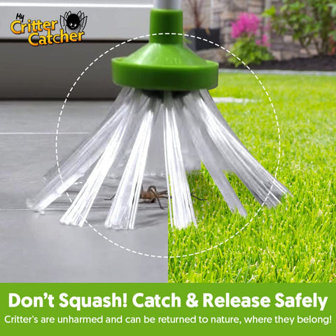 My Critter Catcher uses bristles to trap bugs without mess.