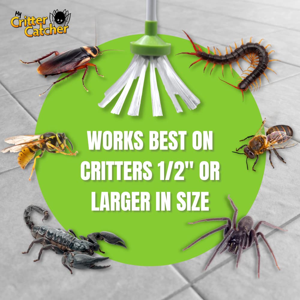 My Critter Catcher supports safe bug management in homes, offices, and classrooms.