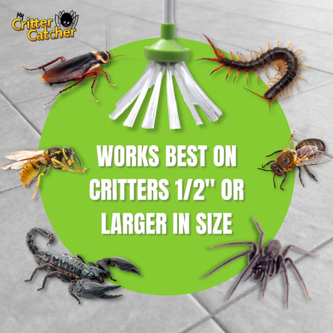 My Critter Catcher supports safe bug management in homes, offices, and classrooms.