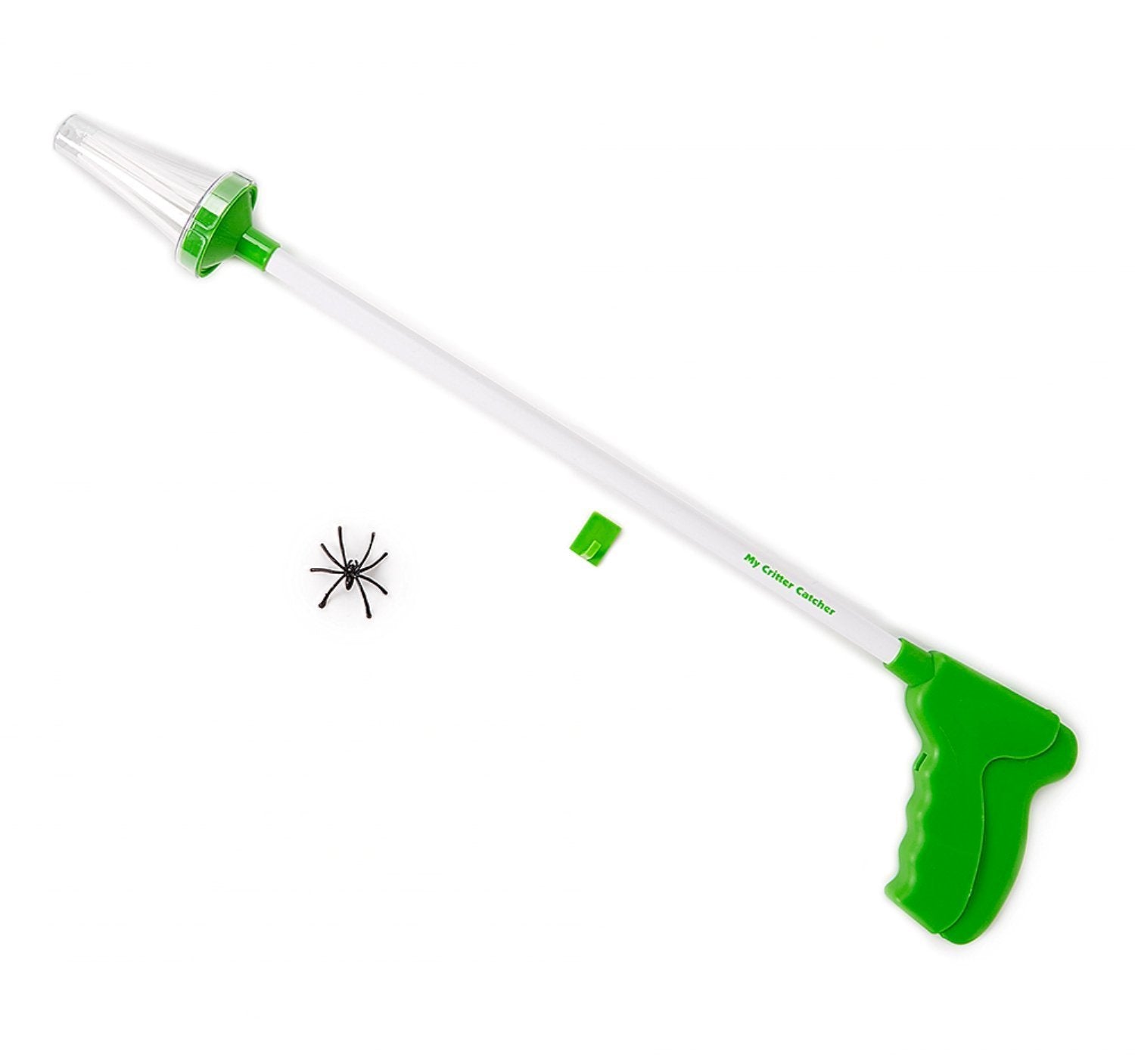 My Critter Catcher captures a spider safely for easy outdoor release.