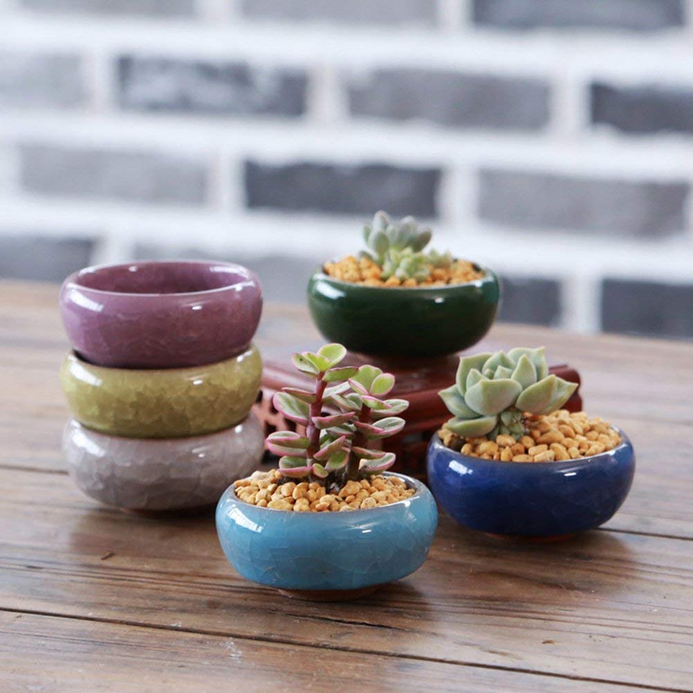 My Decor 8-color set encourages playful arrangements on a windowsill or bedside.