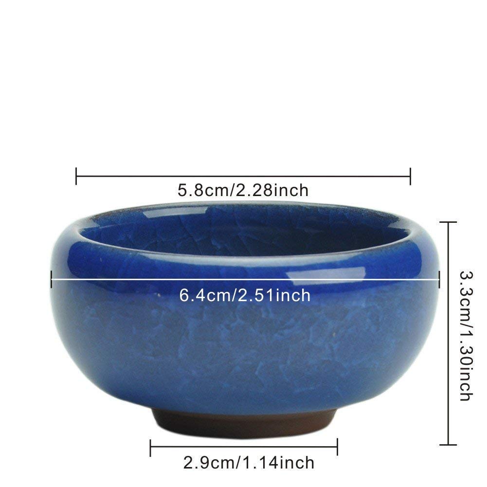 My Decor 2.5-inch ceramic planter showcasing vivid color and drainage holes for healthy roots.