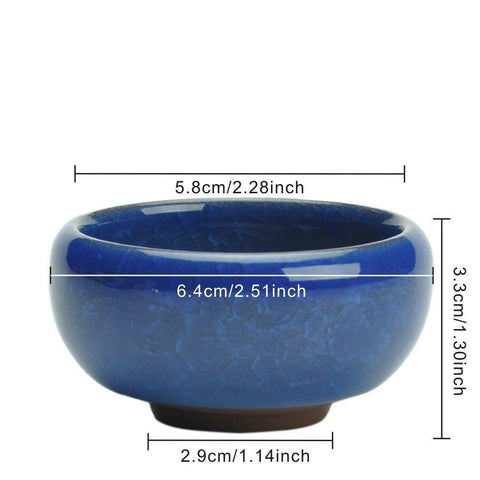 My Decor 2.5-inch ceramic planter showcasing vivid color and drainage holes for healthy roots.