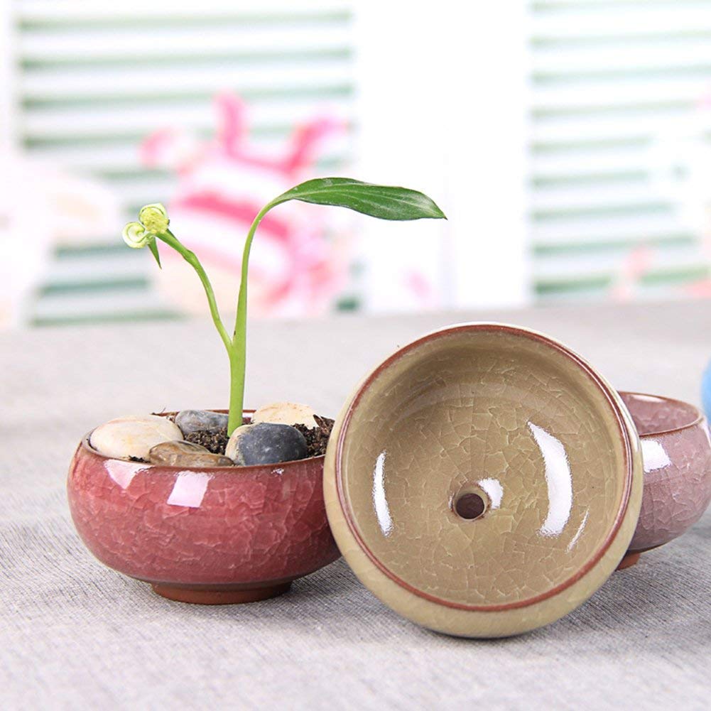 My Decor mini planter is perfect indoors or outdoors with durable ceramic construction.