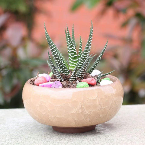 My Decor ice crack glaze pot highlights compact size ideal for desks and shelves.