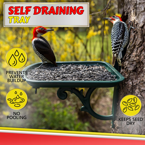 My Favorite Chicken outdoor feeding station welcomes diverse wildlife in your garden.