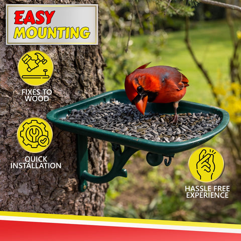 My Favorite Chicken rustproof bird feeder stands up to weather without corrosion.