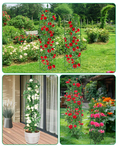 MYMULIKE flower and vine support keeps blooms elevated and tidy