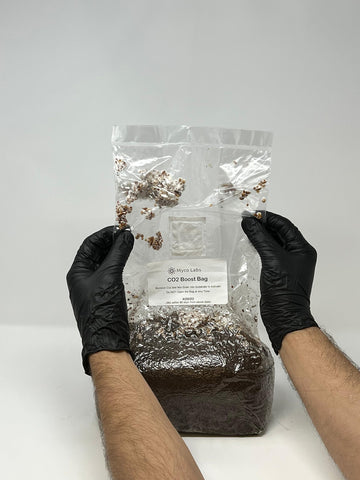 Myco Labs CO2 Boost Bag CO2 release provides steady airflow for healthier foliage.