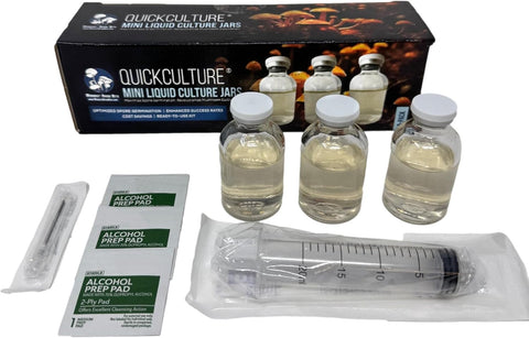 Myco Labs Quick Culture spore jar 30ml ready for controlled experimentation.