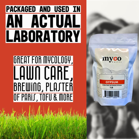 Mycology Basics fine gypsum powder delivers consistent texture in substrates.