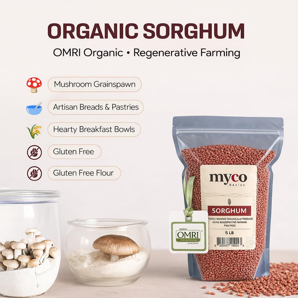 Mycology Basics Organic Sorghum cooked dish highlighting a gluten-free grain option.