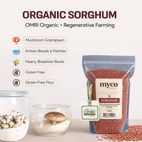 Mycology Basics Organic Sorghum cooked dish highlighting a gluten-free grain option.